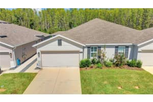 18173 TURNING LEAF CIRCLE, LAND O LAKES, FL 34638 Sold 01/10/25