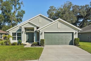 13171 PRECEPT WAY, HUDSON, FL 34669 Sold 12/02/24