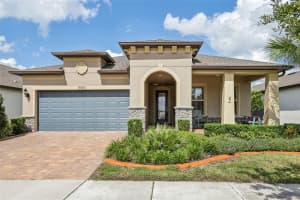 19183 COASTAL SHORE TERRACE, LAND O LAKES, FL 34638 Sold 12/20/24