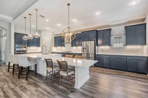 3645 TOUR TRACE, LAND O LAKES, FL 34638 Sold 11/15/24