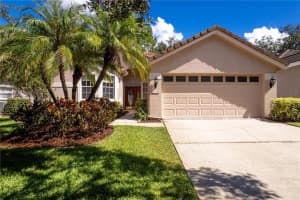 17743 NATHANS DRIVE, TAMPA, FL 33647 Sold 02/13/25
