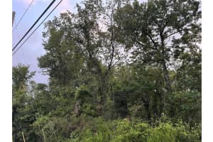 9959 GILBERT STREET, NEW PORT RICHEY, FL 34654 - MLS#MFRTB8307450