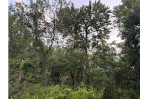 9959 GILBERT STREET, NEW PORT RICHEY, FL 34654 - MLS#MFRTB8307450