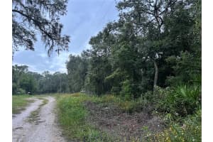 9959 GILBERT STREET, NEW PORT RICHEY, FL 34654 - MLS#MFRTB8307450