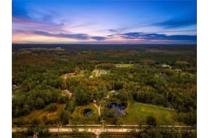 655 APPALOOSA ROAD, TARPON SPRINGS, FL 34688 - MLS#MFRTB8307473