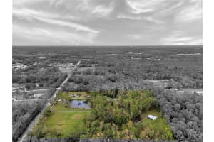 655 APPALOOSA ROAD, TARPON SPRINGS, FL 34688 - MLS#MFRTB8307473