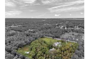 655 APPALOOSA ROAD, TARPON SPRINGS, FL 34688 - MLS#MFRTB8307473