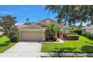 10104 KINGSBRIDGE AVENUE, TAMPA, FL 33626 Sold 10/25/24