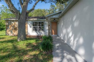 113 JASMINE CIRCLE, SAFETY HARBOR, FL 34695 Sold 12/11/24