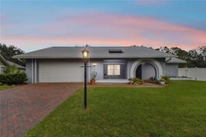 13743 CHESTERSALL DRIVE, TAMPA, FL 33624 Sold 11/15/24
