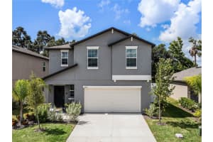 6267 BACK FORTY LOOP, ZEPHYRHILLS, FL 33541 Sold 07/02/25