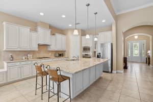 23860 SICILIA PASS, LAND O LAKES, FL 34639 Sold 12/03/24