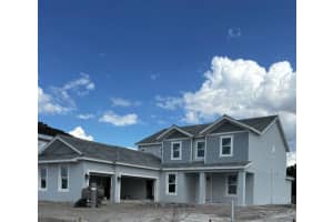 16227 ALPHA GROVE PLACE, ODESSA, FL 33556 - MLS#MFRTB8307874