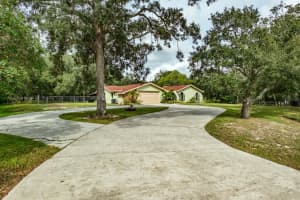 18451 FIRETHORN DRIVE, SPRING HILL, FL 34610 Sold 12/27/24