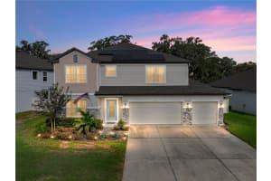 11431 THORN DAY COURT, SAN ANTONIO, FL 33576 Sold 04/18/25