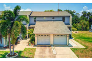 8812 LAGOON STREET, TAMPA, FL 33615 Sold 02/05/25