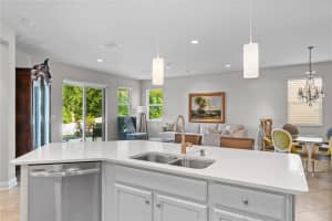 10632 LAGUNA PLAINS DRIVE, RIVERVIEW, FL 33578 Sold 12/09/24
