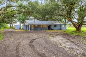 11717 S COUNTY ROAD 39, LITHIA, FL 33547 Sold 10/31/24