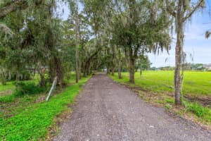11717 S COUNTY ROAD 39, LITHIA, FL 33547 Sold 10/31/24