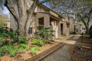 5502 LOBLOLLY COURT, TAMPA, FL 33617 Sold 05/01/25