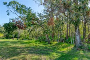 15709 MUIRFIELD DRIVE, ODESSA, FL 33556 Sold 01/21/25