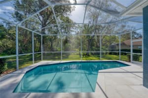 15709 MUIRFIELD DRIVE, ODESSA, FL 33556 Sold 01/21/25
