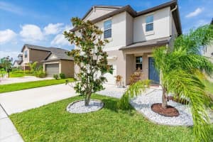 5450 RAINWOOD MEADOWS DRIVE, APOLLO BEACH, FL 33572 Sold 11/12/24