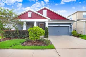 14319 BLUE HYDRANGEA CT, LITHIA, FL 33547 Sold 11/22/24