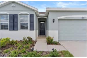 13337 WATERLEAF GARDEN CIRCLE, RIVERVIEW, FL 33579 Sold 10/21/24