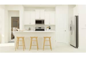 31835 CARDINAL YARD DRIVE, SAN ANTONIO, FL 33576 Sold 03/18/25