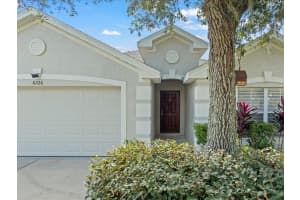 6226 DESERT PEACE AVENUE, LAND O LAKES, FL 34639 Sold 03/13/25