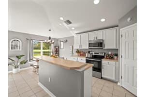 6226 DESERT PEACE AVENUE, LAND O LAKES, FL 34639 Sold 03/13/25