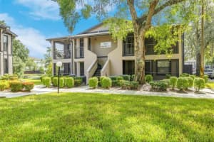 4006 ANGEL OAK COURT, TAMPA, FL 33613 Sold 11/08/24