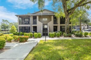 4006 ANGEL OAK COURT, TAMPA, FL 33613 Sold 11/08/24