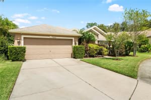 16412 BRIDGELAWN AVENUE, LITHIA, FL 33547 Sold 12/06/24