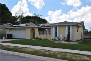11715 SALMON DRIVE, PORT RICHEY, FL 34668 Sold 01/07/25