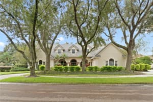 8945 MAGNOLIA CHASE CIRCLE, TAMPA, FL 33647 Sold 04/01/25