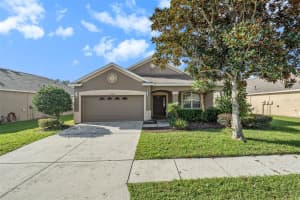 19412 SUNSET BAY DRIVE, LAND O LAKES, FL 34638 Sold 03/25/25