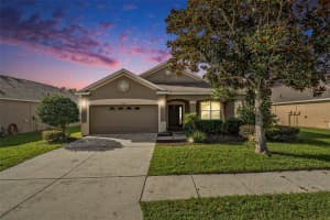 19412 SUNSET BAY DRIVE, LAND O LAKES, FL 34638 Sold 03/25/25
