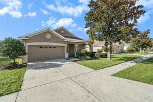 19412 SUNSET BAY DRIVE, LAND O LAKES, FL 34638 Sold 03/25/25