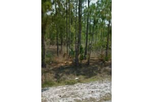 31ST AVE NE, NAPLES, FL 34120 Sold 11/04/24