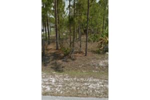 31ST AVE NE, NAPLES, FL 34120 Sold 11/04/24