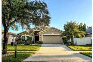 2612 VINEDALE AVENUE, VALRICO, FL 33596 Sold 02/04/25