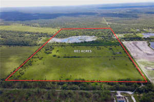 14266 BURNT STORE ROAD, PUNTA GORDA, FL 33955 - MLS#MFRTB8308866