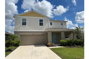 13116 Shumard Way, RIVERVIEW