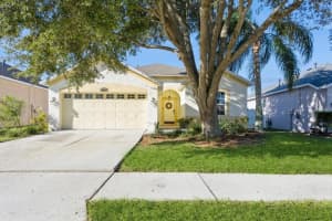 18208 HOLLY HILLS WAY, TAMPA, FL 33647 Sold 11/20/24
