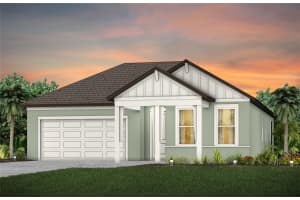 13728 Sunlight Meadow Dr, RIVERVIEW