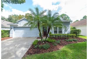 11827 LANCASHIRE DRIVE, TAMPA, FL 33626 Sold 11/13/24