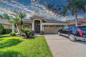 14604 CORKWOOD DRIVE, TAMPA, FL 33626 Sold 03/10/25