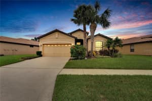 201 SILVER FALLS DRIVE, APOLLO BEACH, FL 33572 Sold 11/08/24